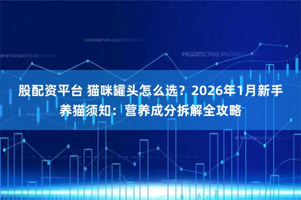股配资平台 猫咪罐头怎么选？2026年1月新手养猫须知：营养成分拆解全攻略